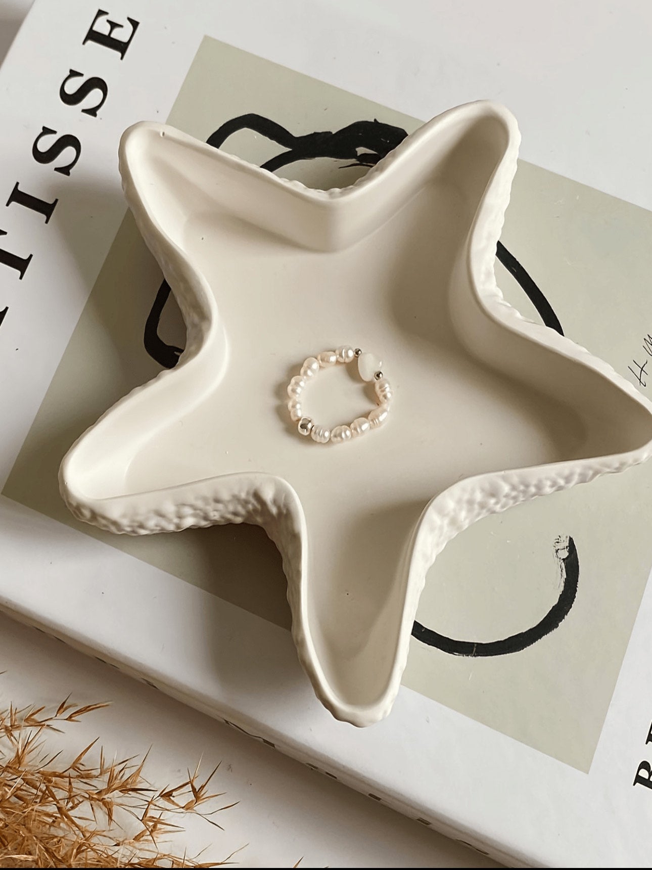 Costal Star Empty Cement Candle Jar